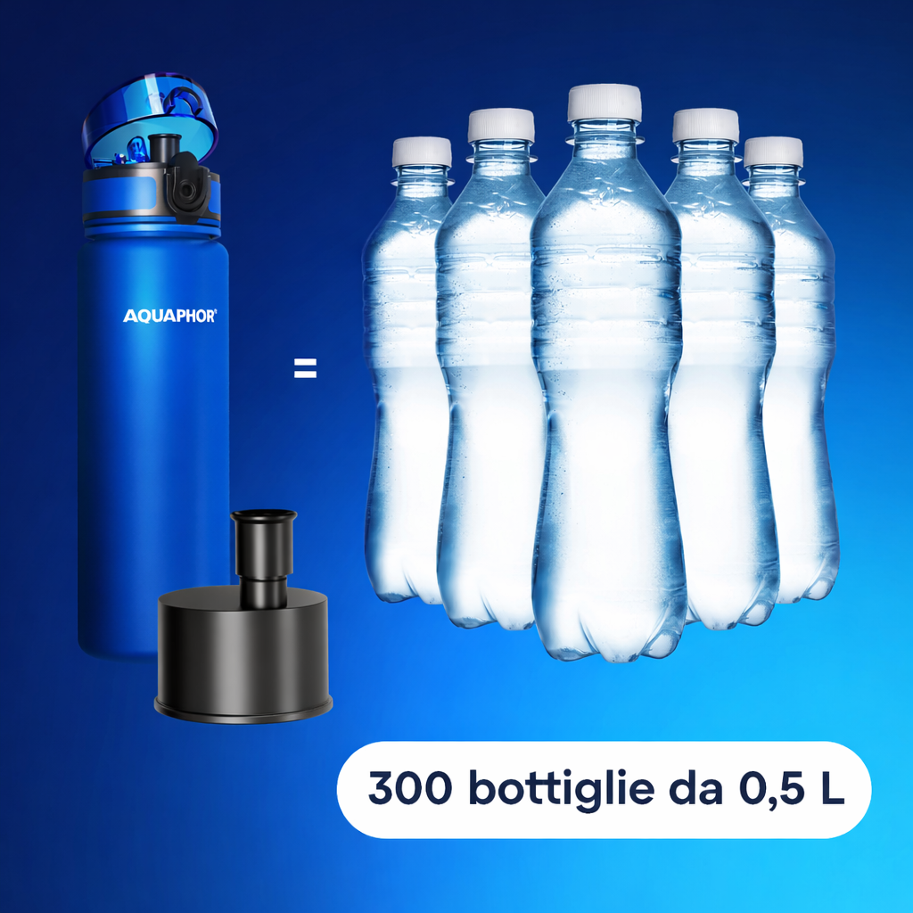 AQUAPHOR Bottle City Cartucce Filtranti di Ricambio con Carbone Attivo – 2 Pezzi | 150 L